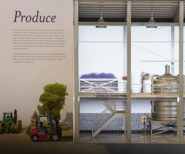 Young Living Malaysia